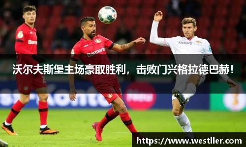 ld乐动新版本